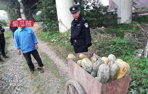 平乡网红吃瓜事件真相,真相背后的网络狂欢与反思