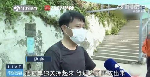 吃瓜网红和男友,揭秘娱乐圈背后的爱情故事