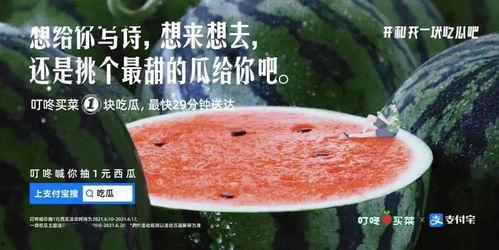 娱乐圈吃瓜文案