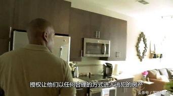 娱乐吃瓜蜀黍大学生,揭秘大学生活中的趣味瞬间