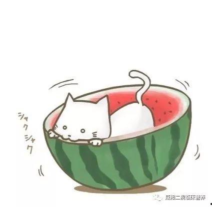 娱乐吃瓜头像图片图文大全,海量娱乐吃瓜头像图文大全